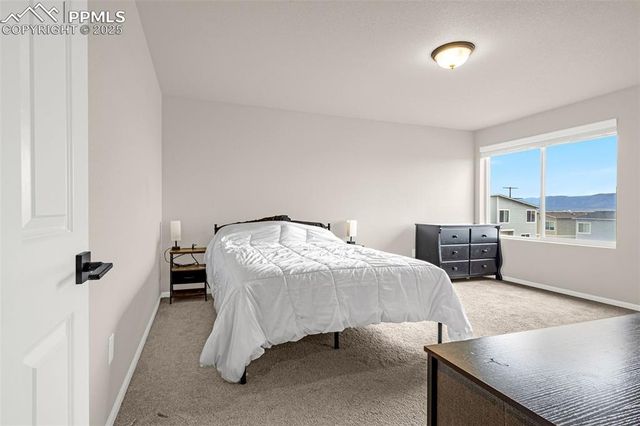 6172 Godwit Lane, Colorado Springs, CO 80925