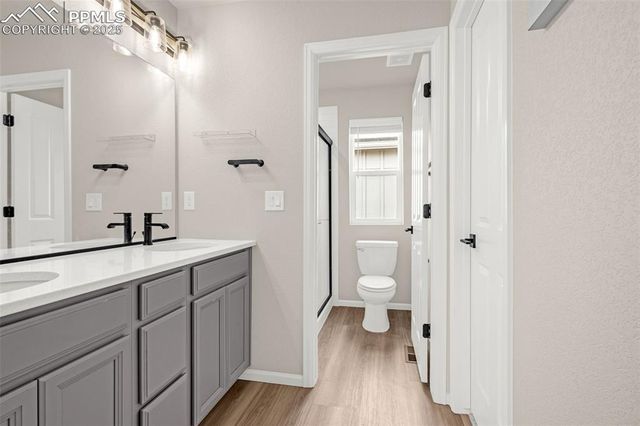 6172 Godwit Lane, Colorado Springs, CO 80925