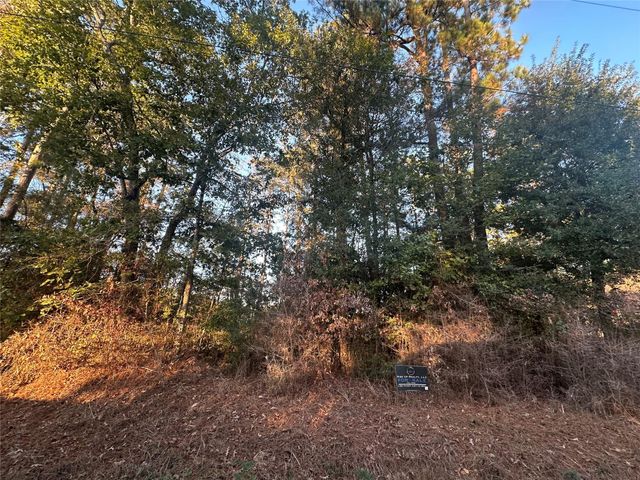 TBD Royal Shores Drive, Conroe, TX 77303