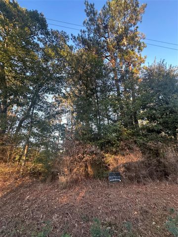 TBD Royal Shores Drive, Conroe, TX 77303