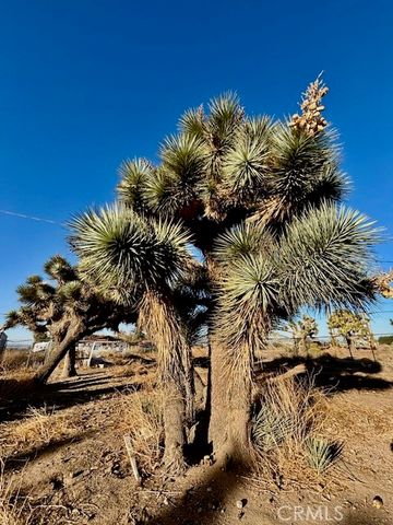 9950 Sonora Road, Phelan, CA 92371