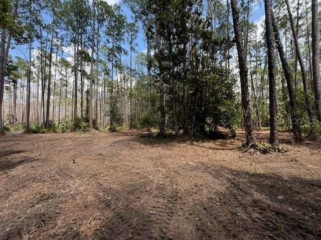 9TH AVENUE, Deland, FL 32724