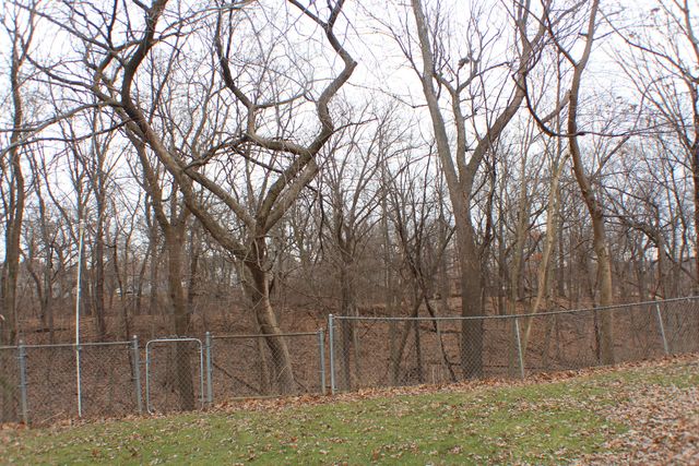 3210 15th Street A, Moline, IL 61265