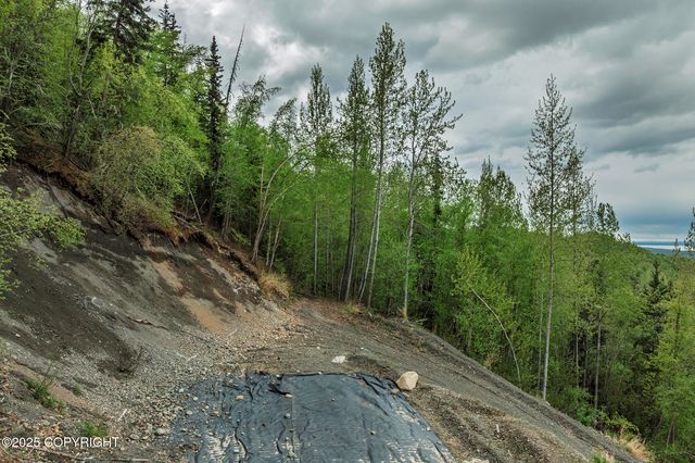 18734 Diana Circle, Chugiak, AK 99567