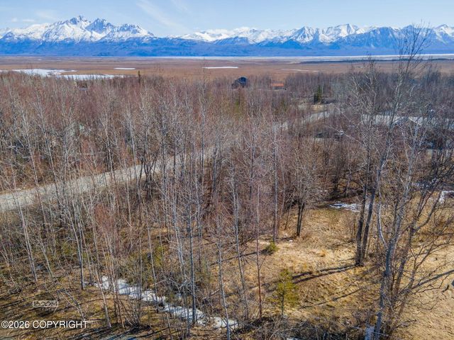 1160 E Chugach View Drive, Wasilla, AK 99654
