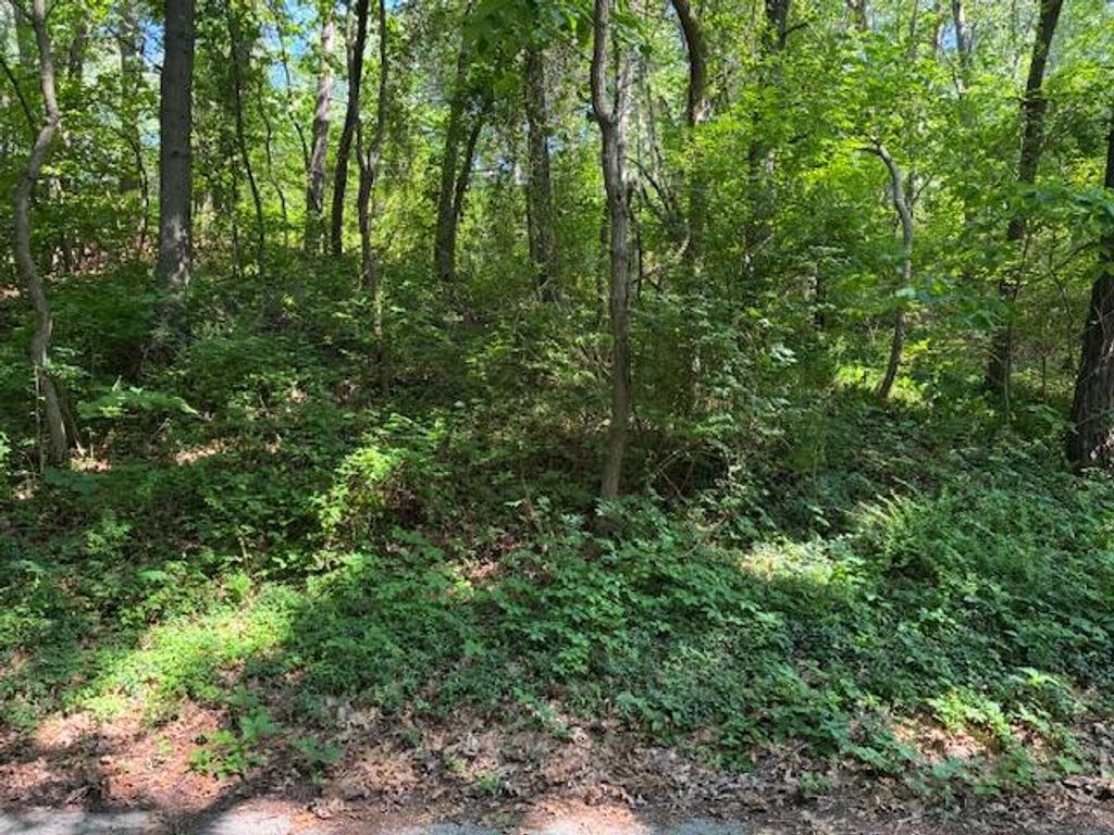 4 Lilac Lane, Grand Beach Vllg, MI 49117