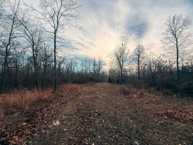 1150 Aa Highway, Alton, MO 65606