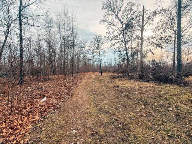 1150 Aa Highway, Alton, MO 65606