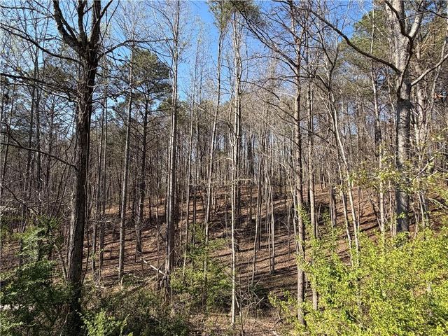 13298 Hwy 53 W, Fairmount, GA 30139