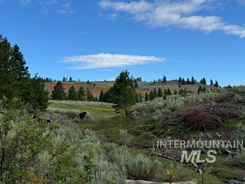 20894 Pioneer Lane, Bridgeport, OR 97819 photo 35