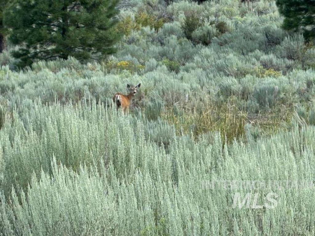 20894 Pioneer Lane, Bridgeport, OR 97819 photo 36