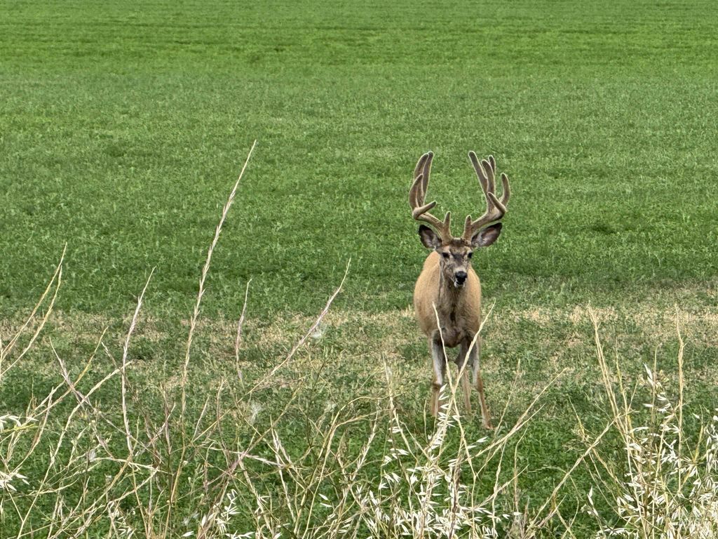 20894 Pioneer Lane, Bridgeport, OR 97819 photo 41