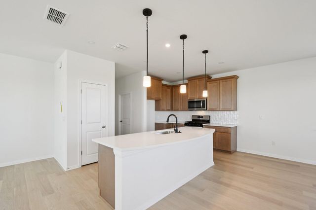 11408 Crazy Alice RUN, Manor, TX 78653