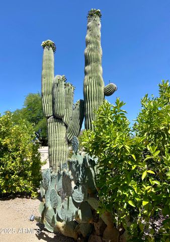 6867 E CRIMSON SKY Trail, Scottsdale, AZ 85266