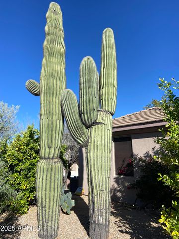 6867 E CRIMSON SKY Trail, Scottsdale, AZ 85266