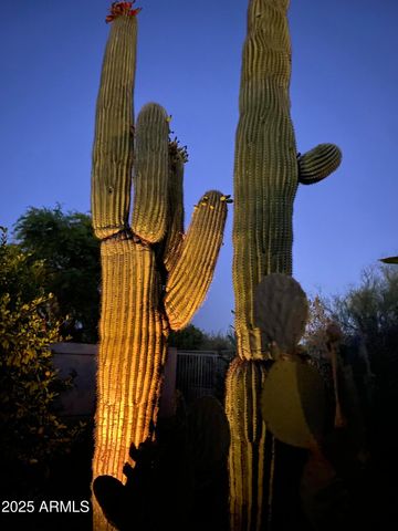 6867 E CRIMSON SKY Trail, Scottsdale, AZ 85266