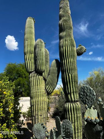 6867 E CRIMSON SKY Trail, Scottsdale, AZ 85266