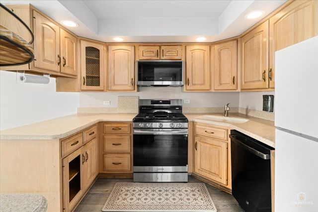 15713 ORLAN BROOK Drive 100, Orland Park, IL 60462