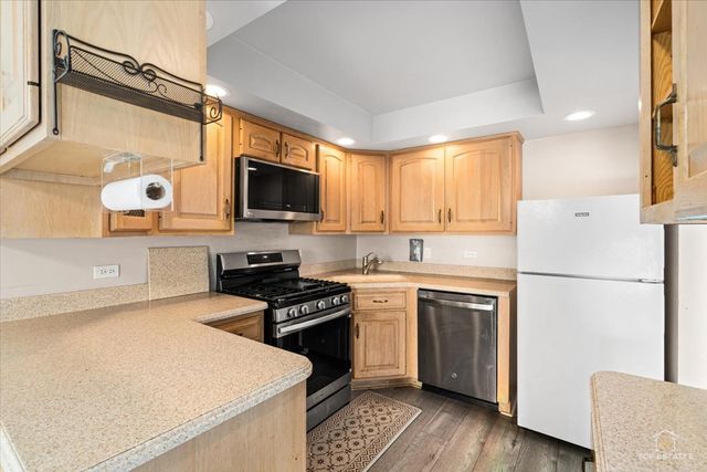 15713 ORLAN BROOK Drive 100, Orland Park, IL 60462