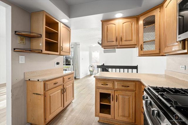 15713 ORLAN BROOK Drive 100, Orland Park, IL 60462