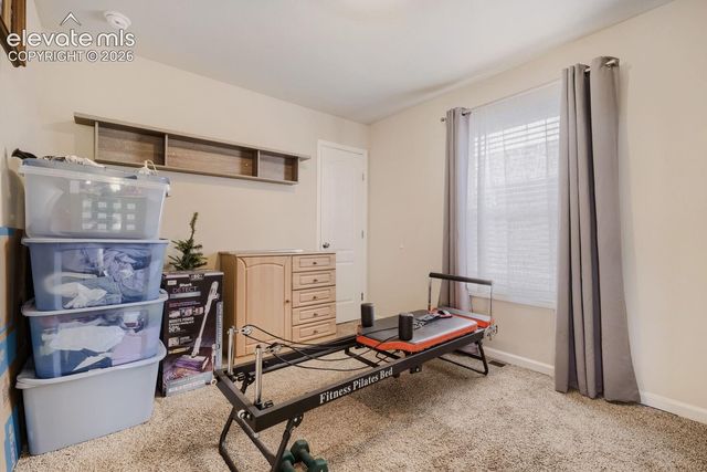 7823 Grizzly Bear Point, Colorado Springs, CO 80922
