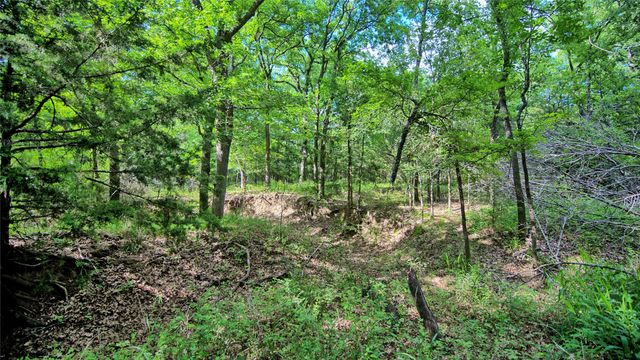 TBD Oak Cove Court, Bowie, TX 76230