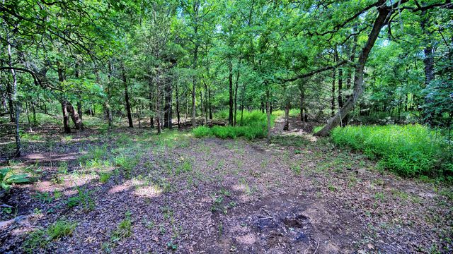 TBD Oak Cove Court, Bowie, TX 76230