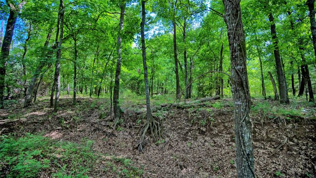TBD Oak Cove Court, Bowie, TX 76230