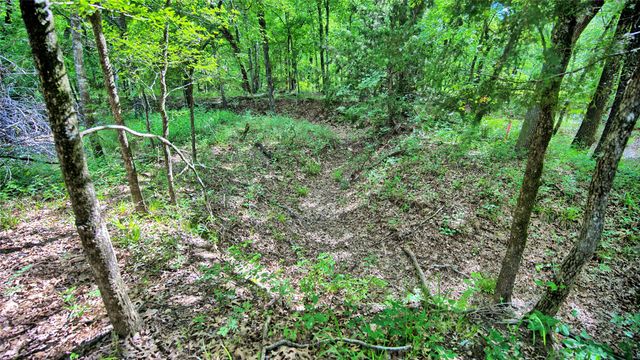 TBD Oak Cove Court, Bowie, TX 76230