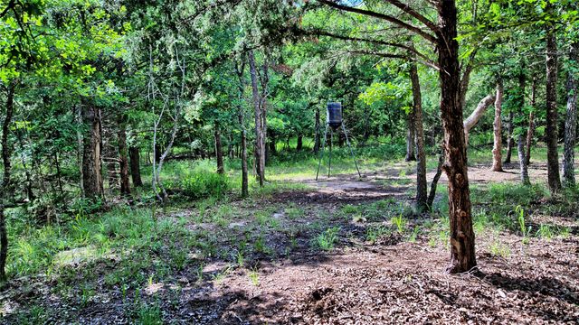 TBD Oak Cove Court, Bowie, TX 76230