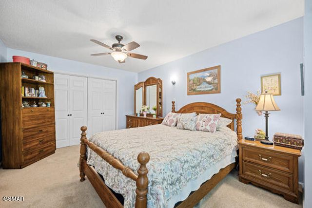 3628 Blue Byrd Lane, Kodak, TN 37764