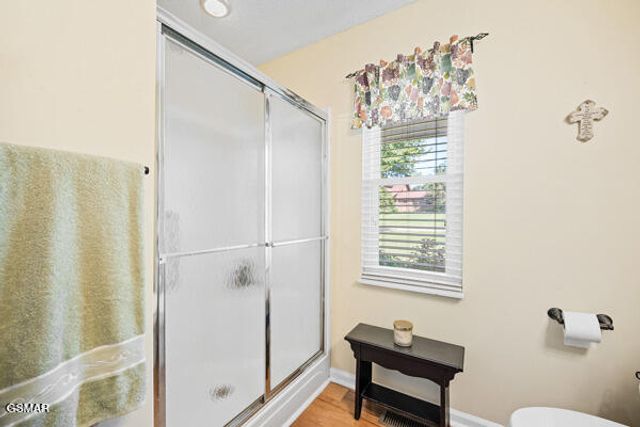 3628 Blue Byrd Lane, Kodak, TN 37764