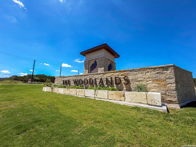 155 Ivy Way, Mico, TX 78056