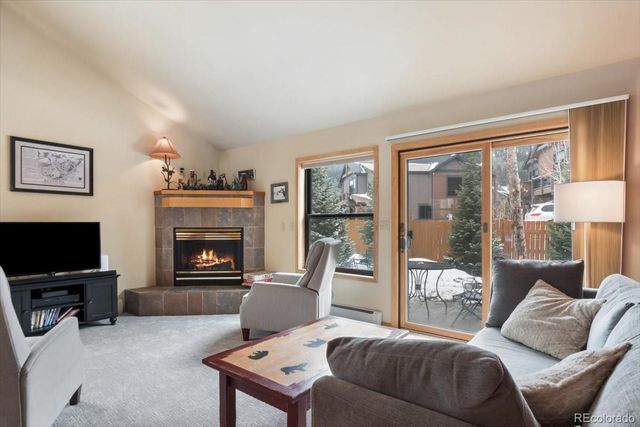 111 Norse Lane 32, Dillon, CO 80435