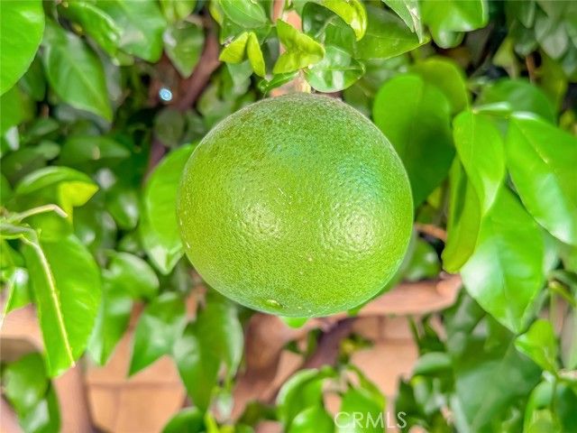 2037 Freesia Avenue, Simi Valley, CA 93063