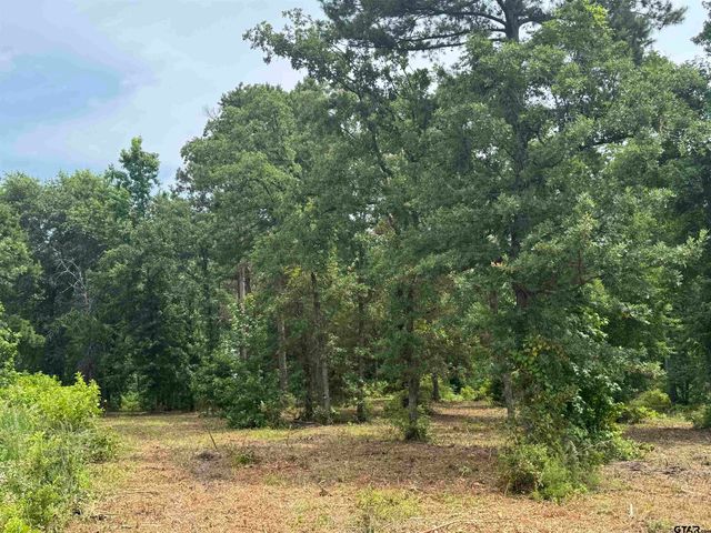 3162 Shadow Pine Dr, Larue, TX 75770