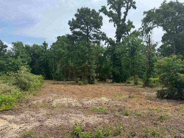 3162 Shadow Pine Dr, Larue, TX 75770