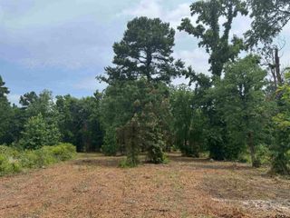 3162 Shadow Pine Dr, Larue, TX 75770