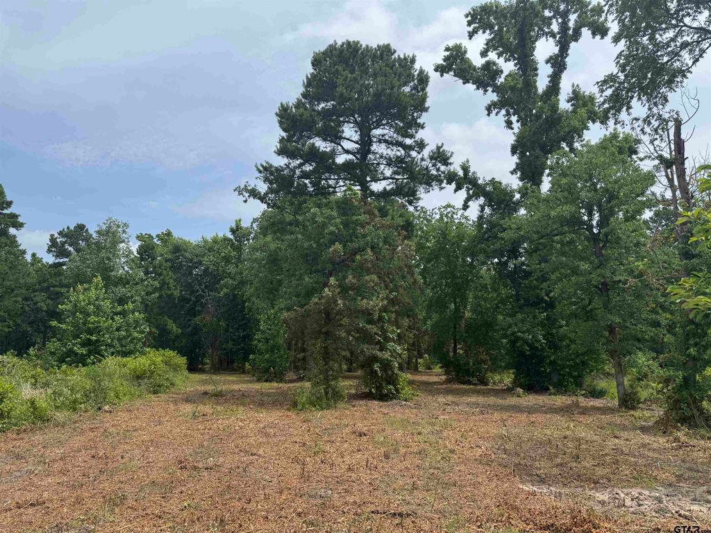 3162 Shadow Pine Dr, Larue, TX 75770
