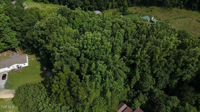 Tr 4 Crystal Lane, Unicoi, TN 37692