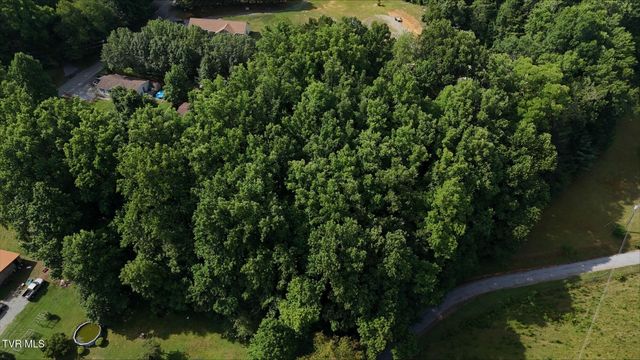 Tr 4 Crystal Lane, Unicoi, TN 37692