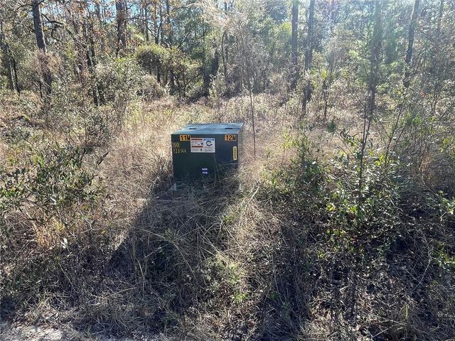 24309 NW BANYAN LANE, Dunnellon, FL 34431