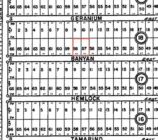 24309 NW BANYAN LANE, Dunnellon, FL 34431