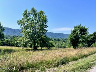 2618 Rackum Rd, Thorn Hill, TN 37881