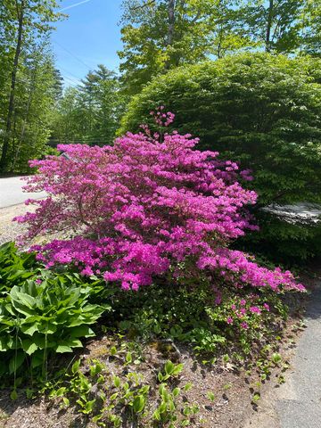 56 Patrician Shores Circle, Meredith, NH 03253