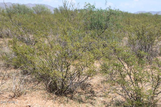 062 E State Route 90 Highway 84, Sierra Vista, AZ 85635