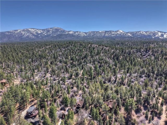 615 Kean Way, Big Bear City, CA 92314