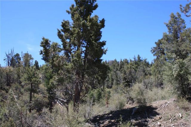 615 Kean Way, Big Bear City, CA 92314