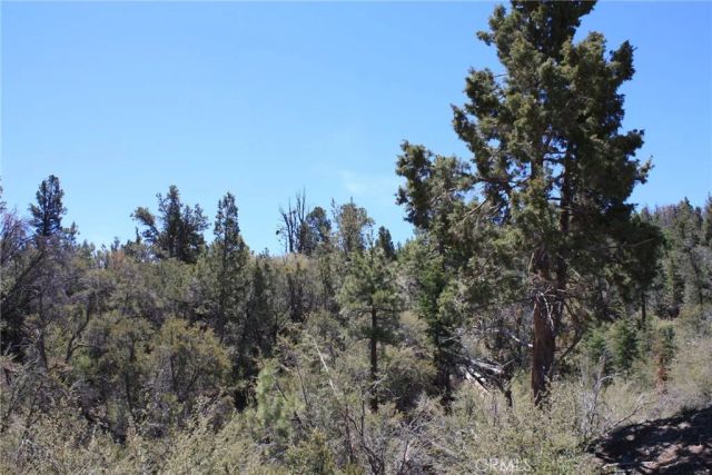 615 Kean Way, Big Bear City, CA 92314