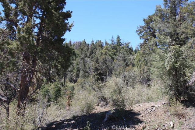 615 Kean Way, Big Bear City, CA 92314